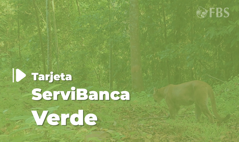 Servibanca