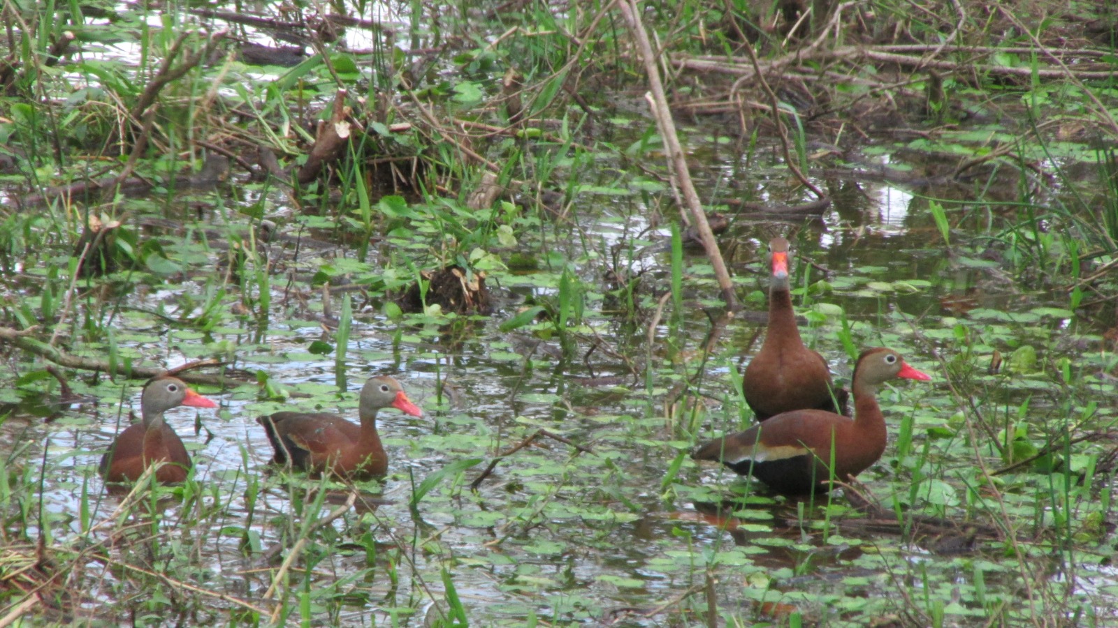 WhatsApp Image 2025-09-10 at 1.48.38 PM (15)